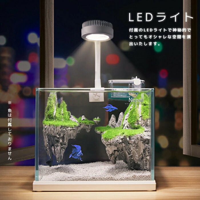 楽天市場】【水槽セット】天空の城 LEDライト付き水槽セットオブジェ