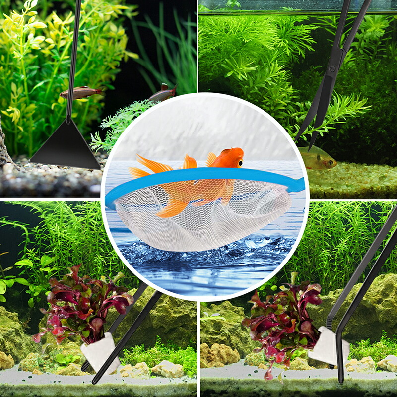 楽天市場】水草 トリミング 6点セット 水草用ピンセット 水槽