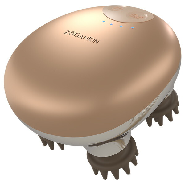 楽天市場】ゾーガンキンマチュアの通販