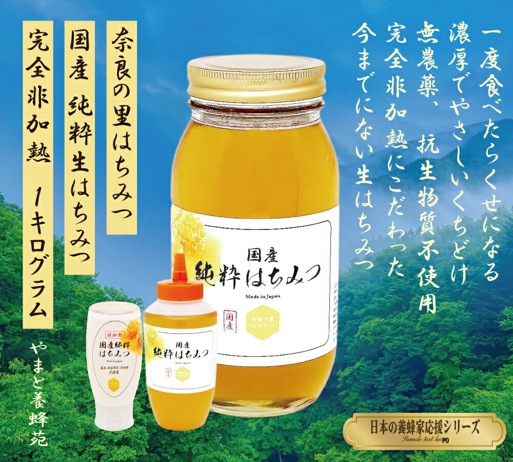 日本蜜蜂の天然ハチミツ 無添加 非加熱 内容量400g × 3本 日本