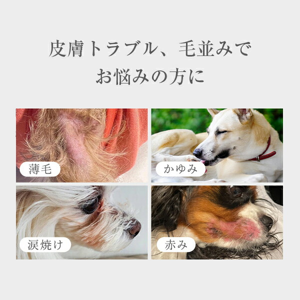 Miranest ゼリースティック FOR DOG スイートポテト風味 3箱 ミラ