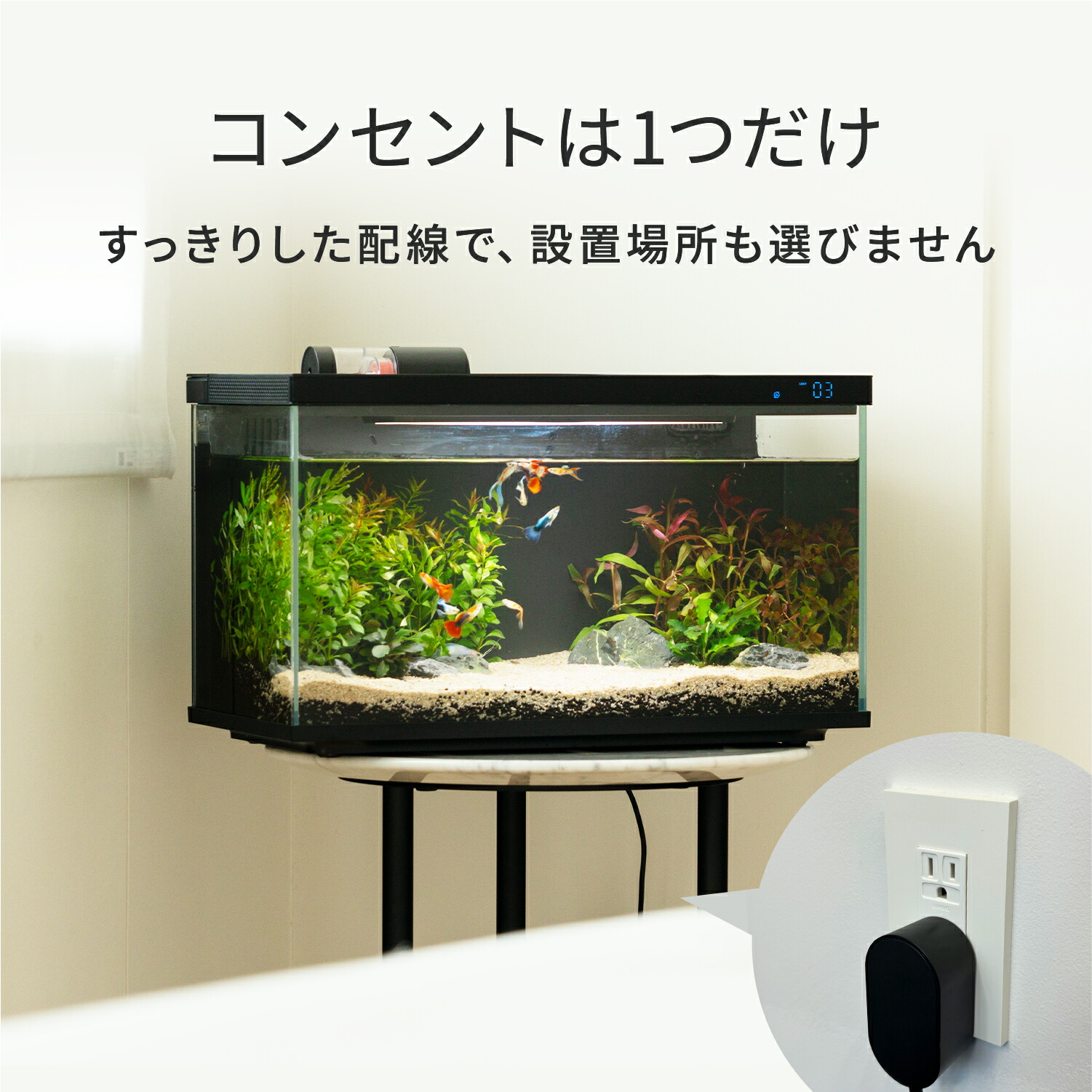 楽天市場】【楽天1位 / 送料無料】水槽 水槽セット 45cm 初心者