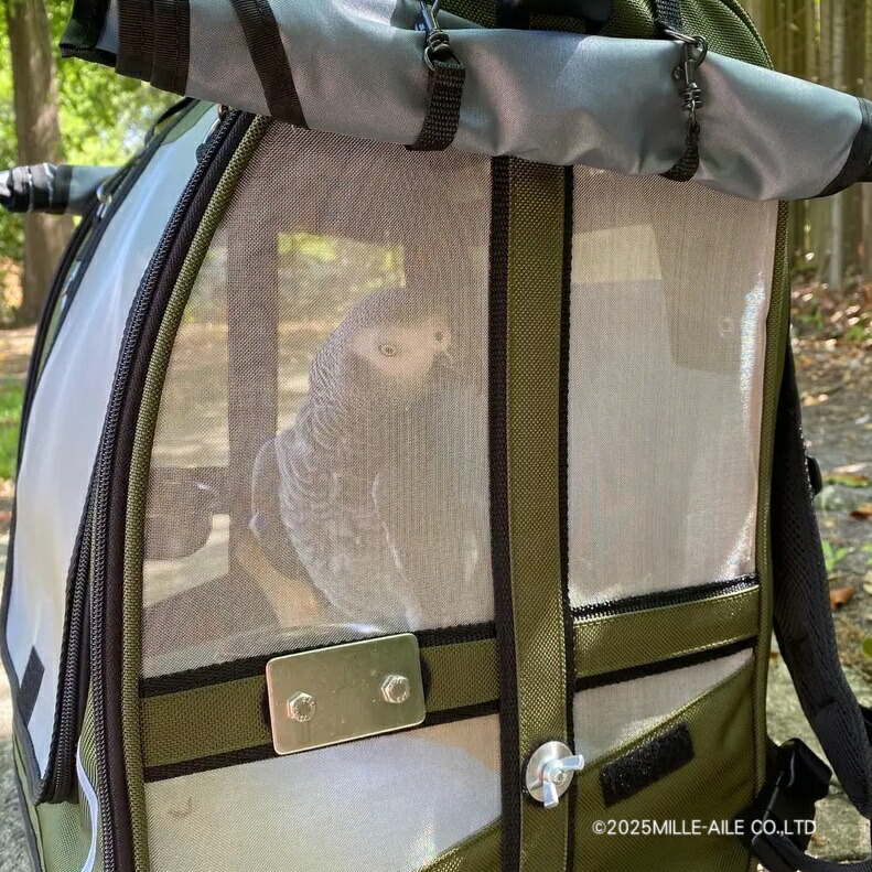 楽天市場】Pak-o-Bird／Mediumサイズ（ヨウム用）【Celltei】 : 鳥