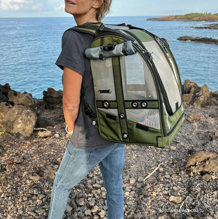 楽天市場】Pak-o-Bird／Mediumサイズ（ヨウム用）【Celltei】 : 鳥