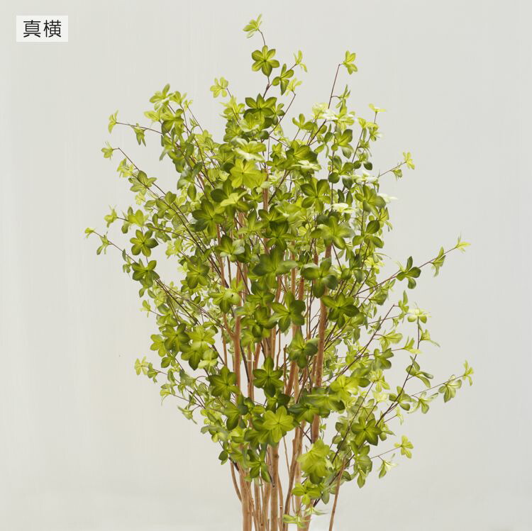 楽天市場】ドウダンツツジ パーテーション 160cm 下草装飾付 (フェイク