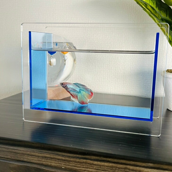 楽天市場】【日本製】Bond アクリル水槽 ミニ アクリル製 透明
