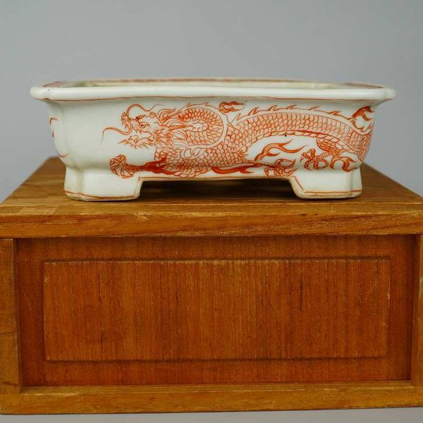 月之輪涌泉造、赤絵龍図外縁隅入切足長方鉢盆栽鉢名鉢