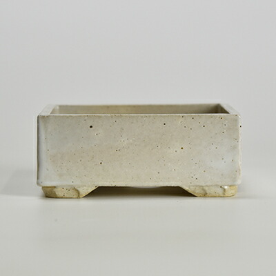 楽天市場】盆栽鉢 山野草鉢 白 4号 正角鉢 陶器鉢 幅 約 12cm 高さ 約