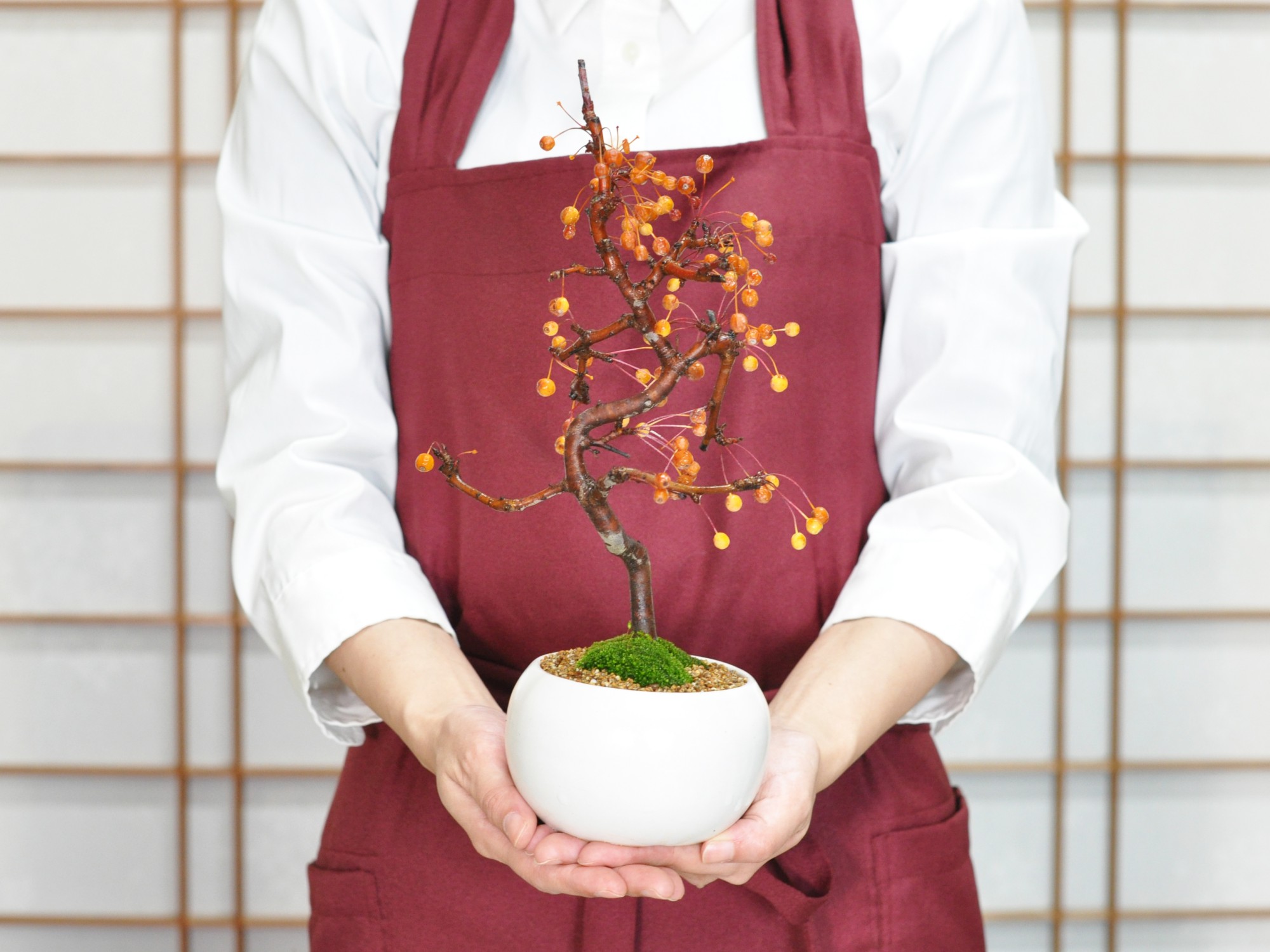 楽天市場】盆栽 ミニ盆栽 ズミ りんご 実のなる盆栽 海棠 鉢花 鉢植え