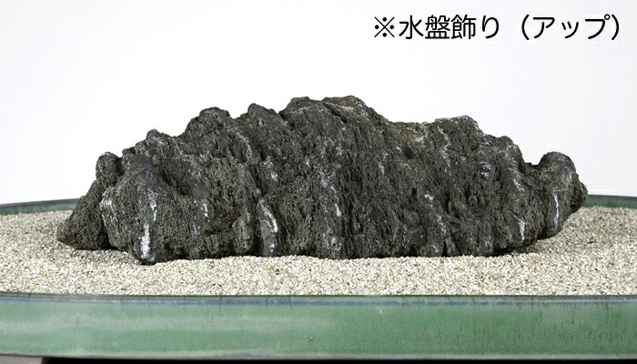 楽天市場】水石 「千仏石 」 盆石 天然石 すいせき 台座付き 現品限り