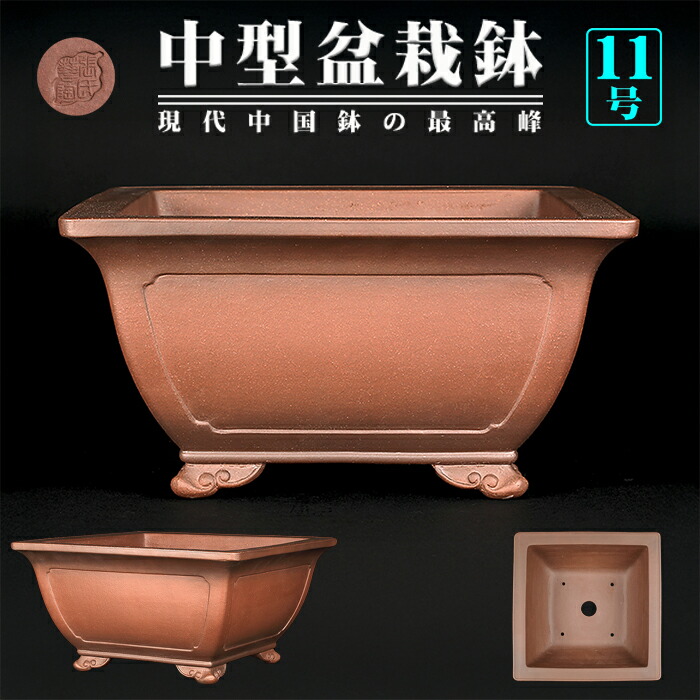 998 盆栽 盆栽鉢 植木鉢 中国鉢 998 盆栽 盆栽鉢 植木鉢 中国鉢 998