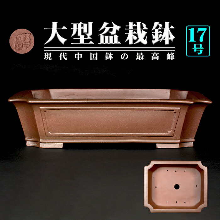 中国古盆器 紫砂 盆栽鉢 紫泥外縁楕円鉢 東寳公造 /蔵出し/唐物/古玩/骨董