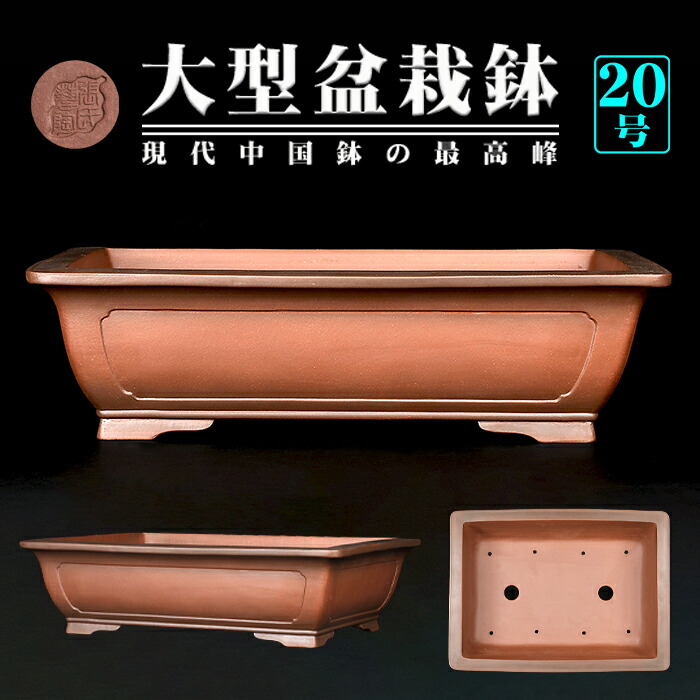 中国鉢、支那鉢、中渡、盆栽鉢、盆栽小鉢、植木鉢、鉢 中国鉢、支那鉢