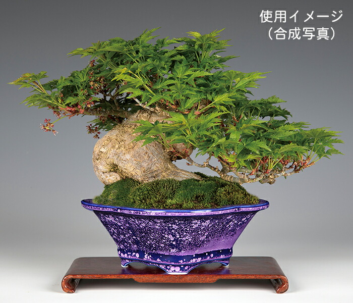 紫砂の鉢 四角鉢 紫砂の鉢 盆栽鉢 植木鉢 小品盆栽鉢 大品