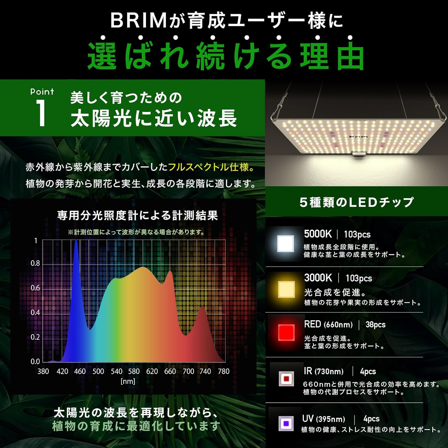楽天市場】BRIM(ブリム) 公式店 楽天ランキング1位獲得【1枚】BRIM
