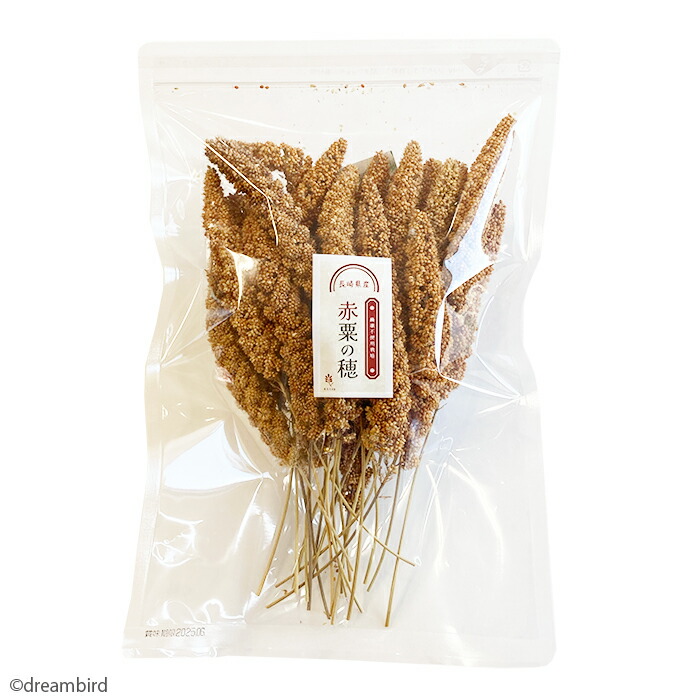 楽天市場】賞味期限2027/7/31※農薬不使用栽培【長崎県産】赤粟の穂