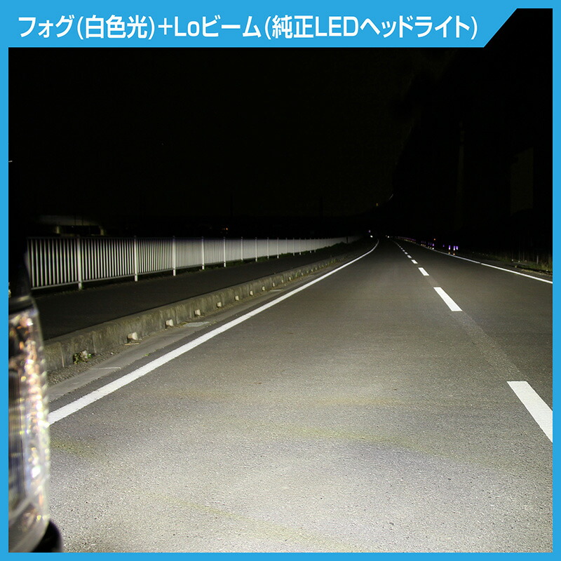 伊呂波窯:森本昇 (師.齋藤三郎)◇色絵窓絵椿木蓮牡丹文大壺:高さ約21.6