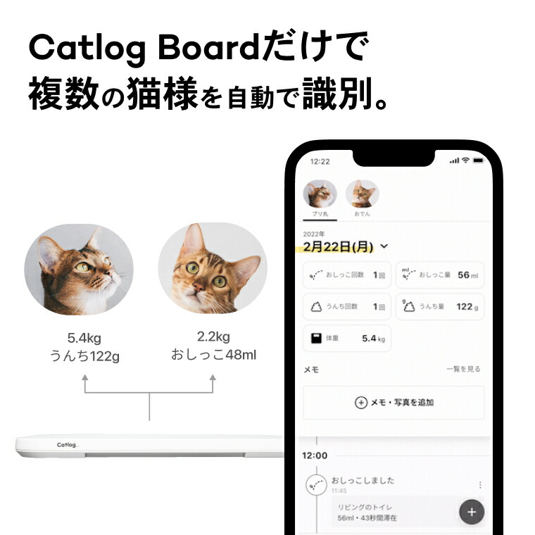 楽天市場】【Catlog公式｜送料無料】Catlog Board 2 今あるトイレや猫
