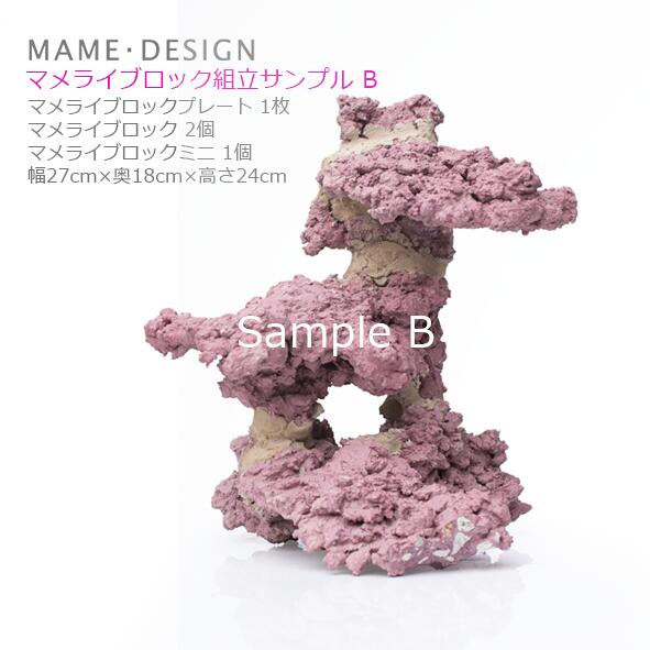 楽天市場】人工 ライブロック マメライブロック人気の穴あきタイプ