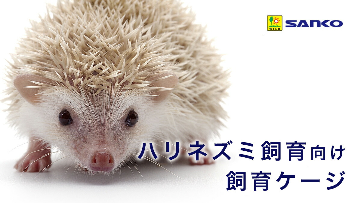 楽天市場 | charm 楽天市場店 - 三晃商会 ハリネズミ向け飼育ケージ