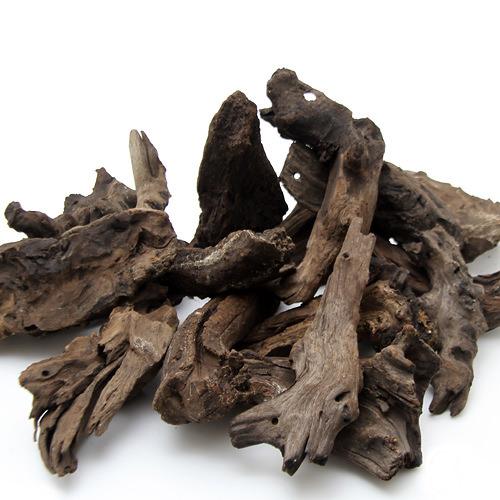 希少】ミクロソリウム バリスモール十字 特大マザー株です。 楽天市場