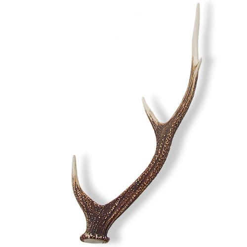 蝦夷鹿の角 58本分 ハネ品7本分無料 蝦夷鹿の