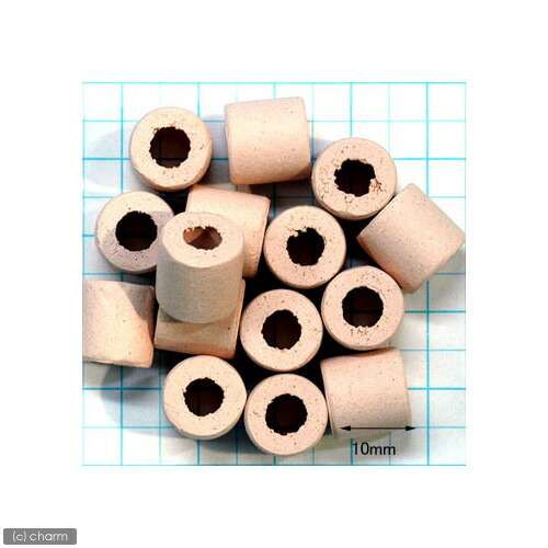 楽天市場】パワーハウス ベーシック（ソフトタイプ） Mサイズ 淡水用