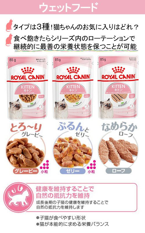 楽天市場】【送料無料】ロイヤルカナン 子猫 成長後期の子猫用ドライ