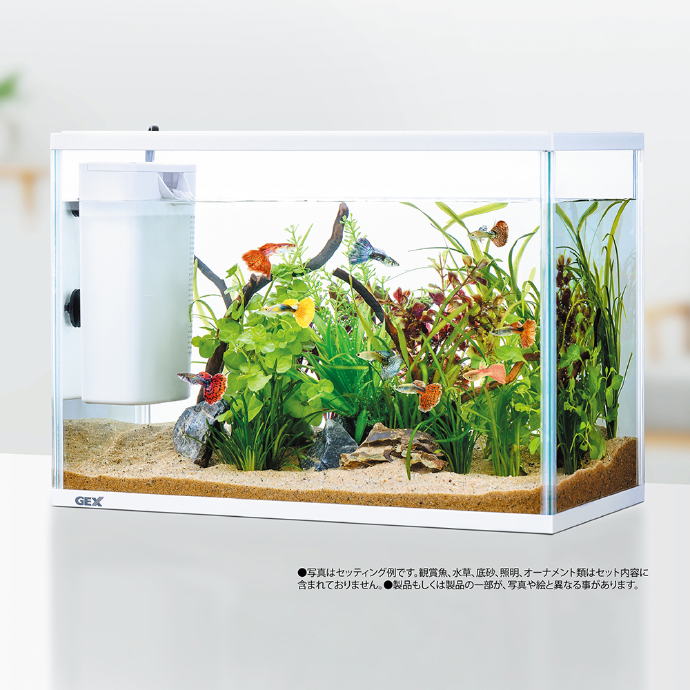 楽天市場】GEX 水槽セット ラクフィル 水換え簡単セット 400WH
