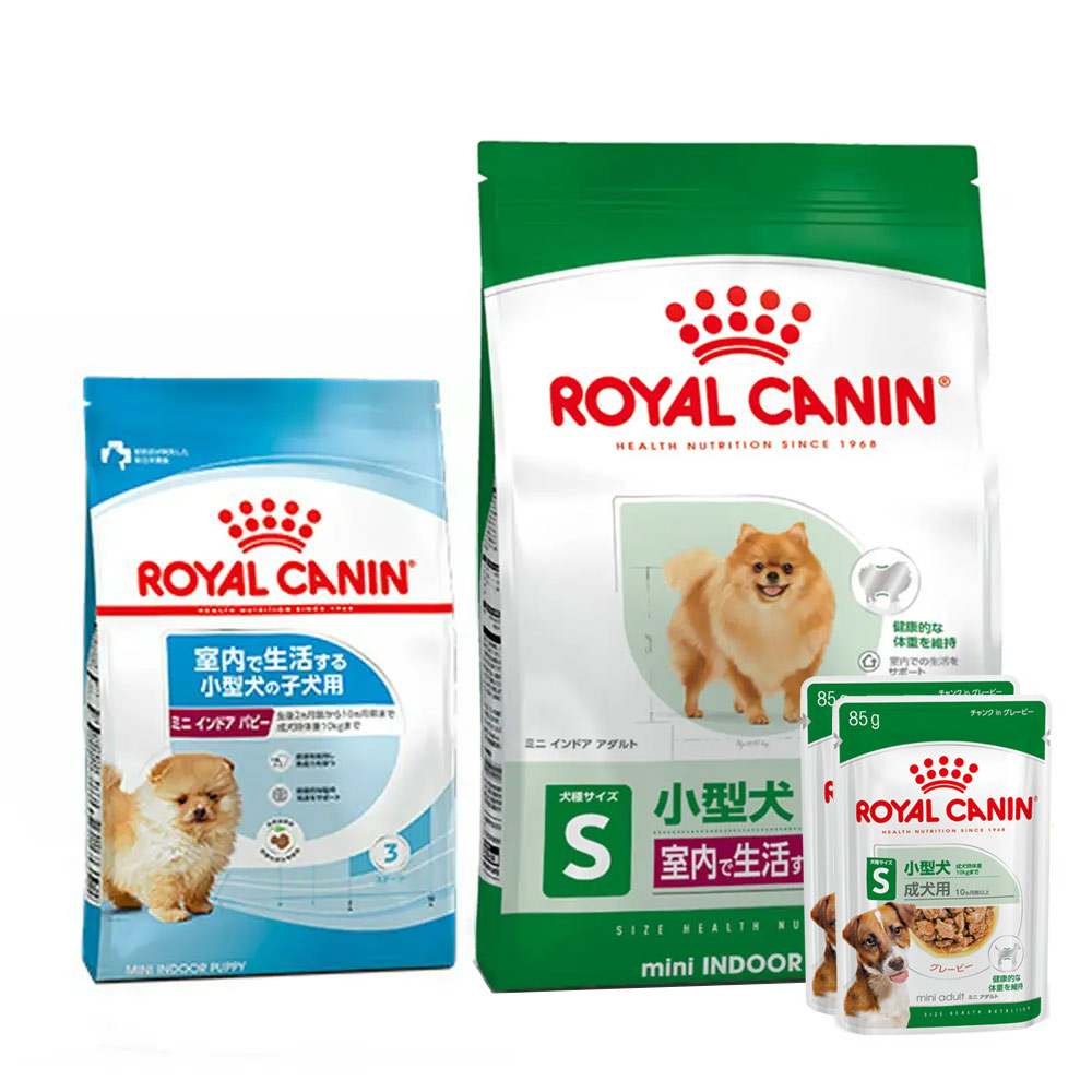 1袋⭐︎ CANIN mini INDOOR adult 小型犬用 ミニ インドア アダルト