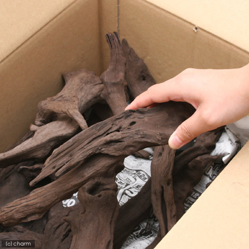 楽天市場】形状お任せ 煮込み済み 上質流木 雅 サイズミックス（約25