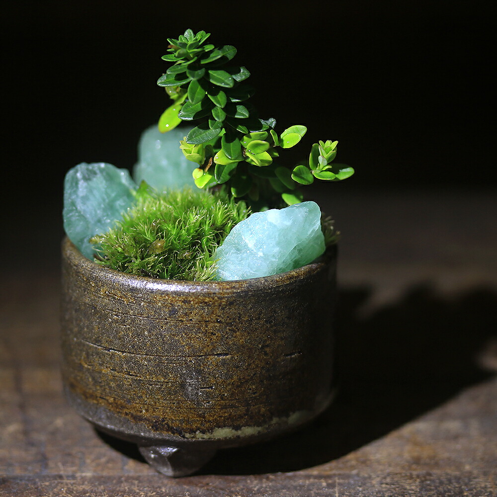 ミニ盆栽鉢 桑津香石 絵鉢 楕円形 山野草 ミニ盆栽鉢 絵