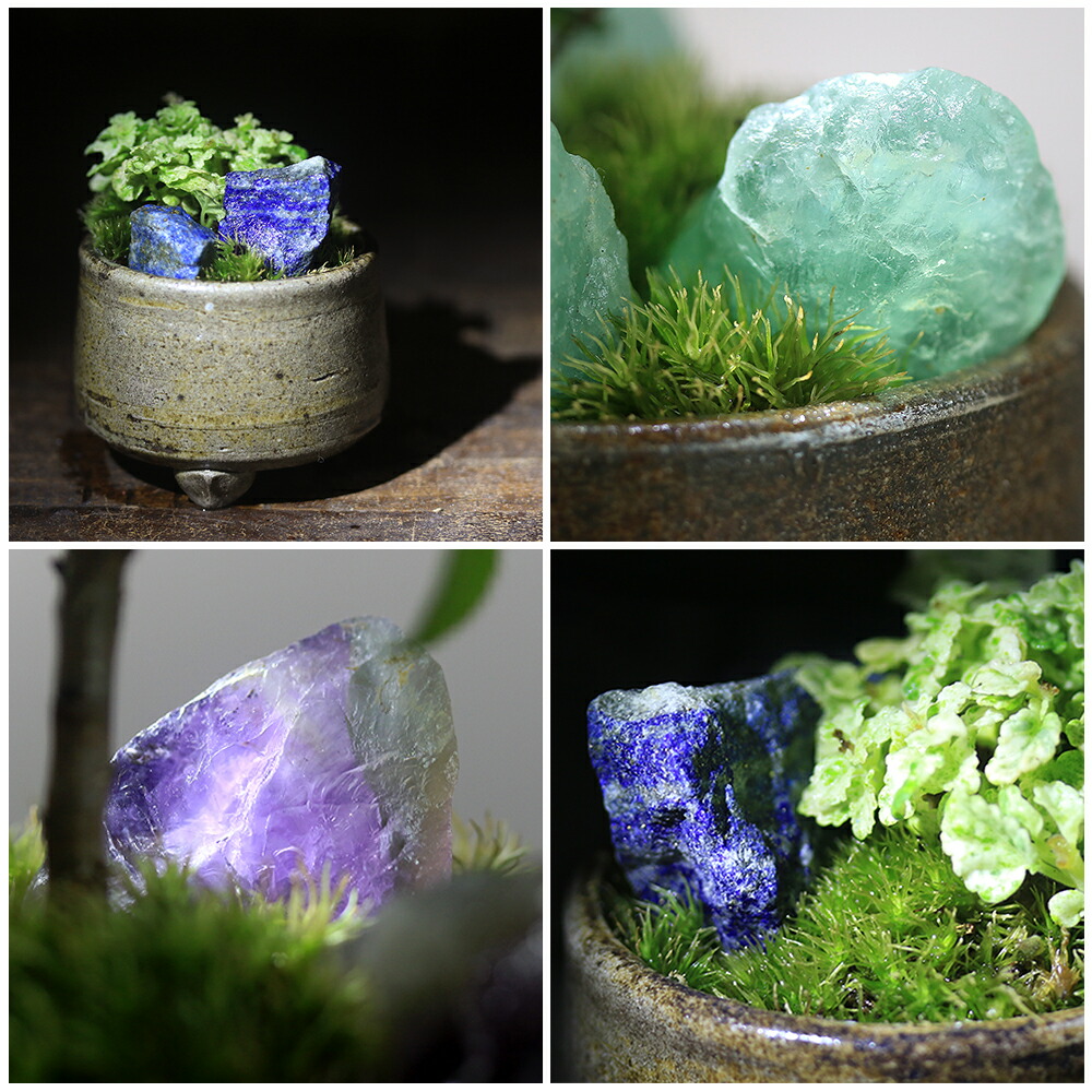 ミニ盆栽鉢 小品盆栽 桑津香石 絵鉢 椿 菖蒲 山野草 ミニ盆栽鉢 小品