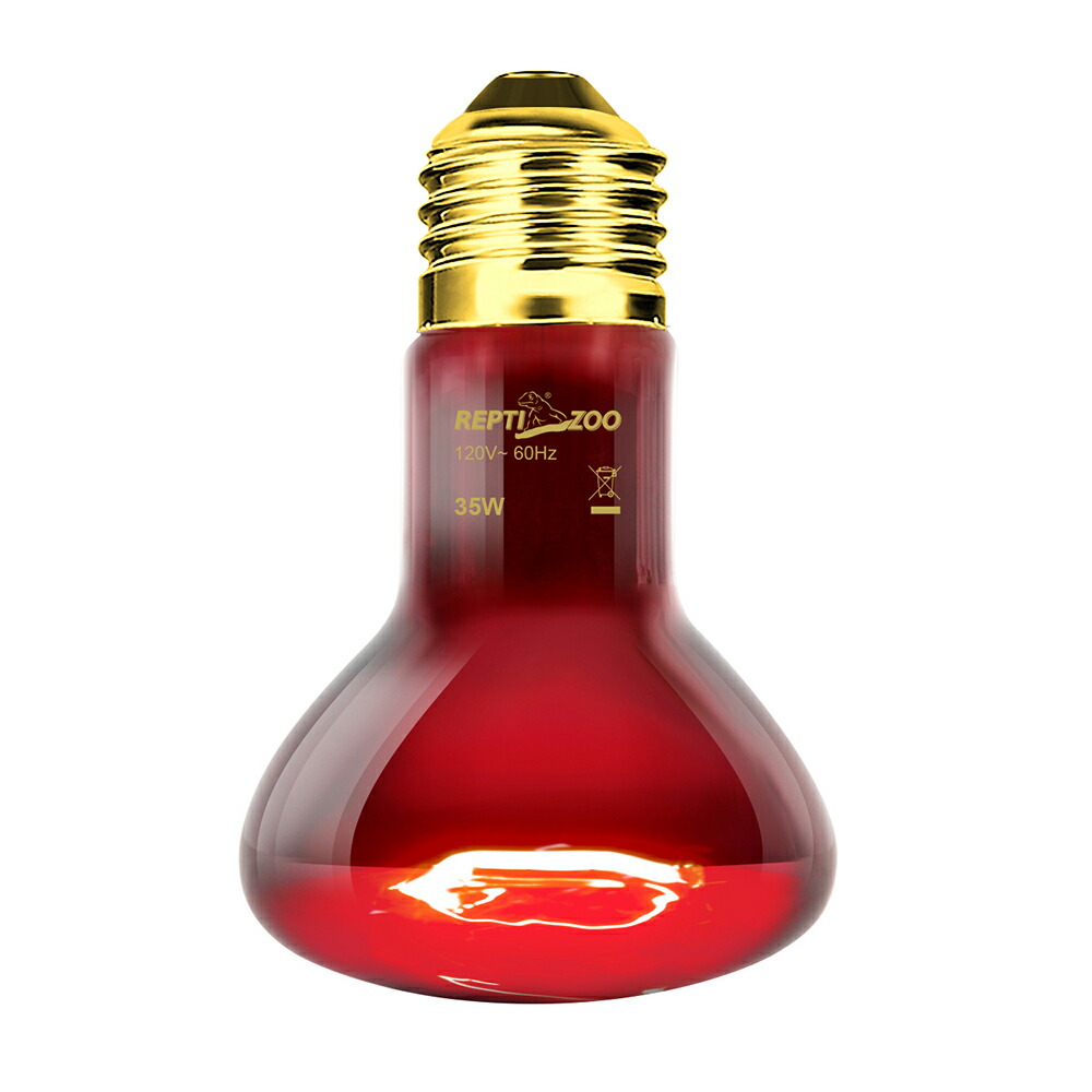 爬虫類 バスキングスロープ 16 【公式通販】