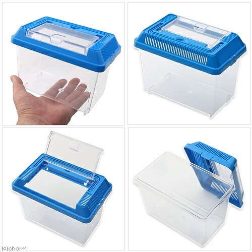 楽天市場】プラケース 飼育容器 ミニ 青（175×105×140mm