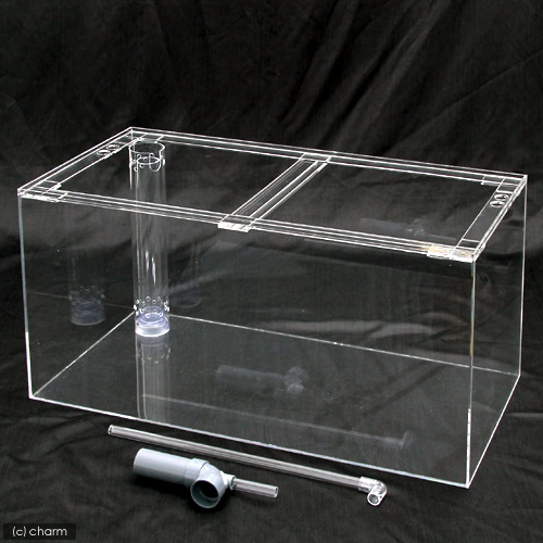 60CMオーバーフロー水槽