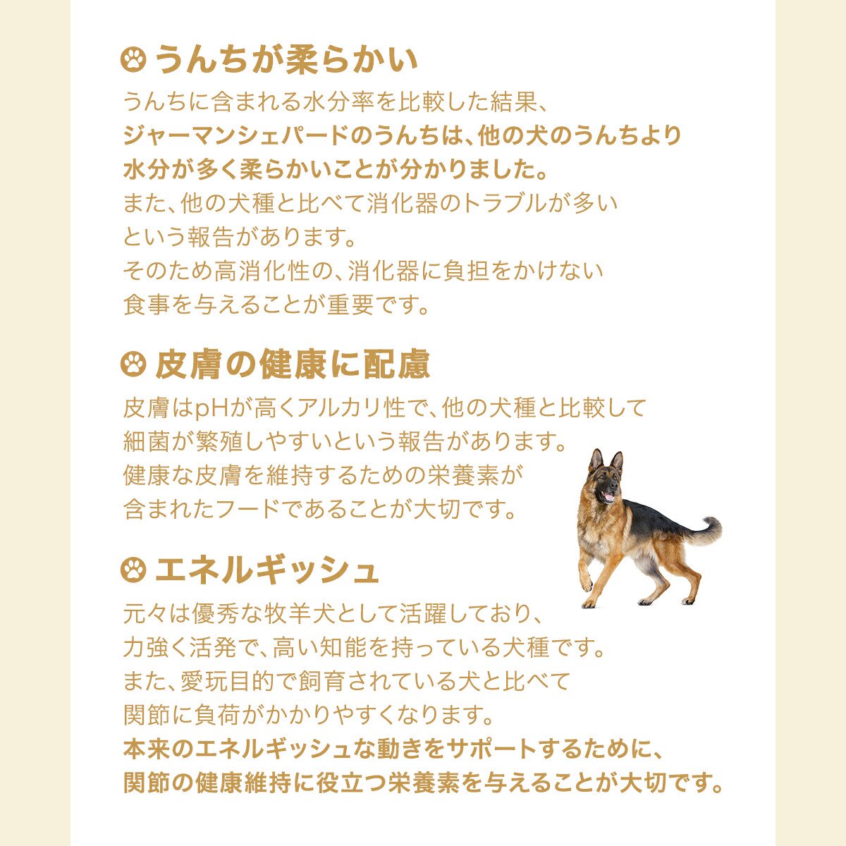 楽天市場】ロイヤルカナン ジャーマンシェパード 成犬・高齢犬用