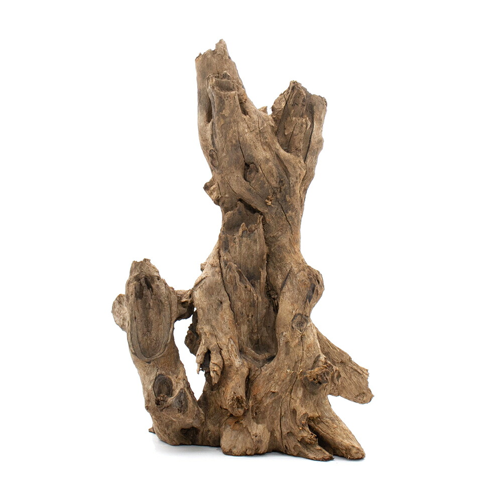 m46特大流木 大型流木 アク抜き済み 爬虫類シェルター レイアウト用