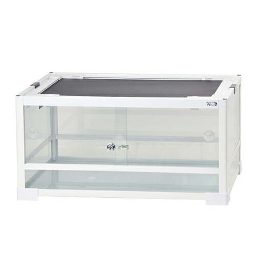 Repro 636 ガラスケージ 60×45×36 発送OK Repro 636 ガラスケージ 60