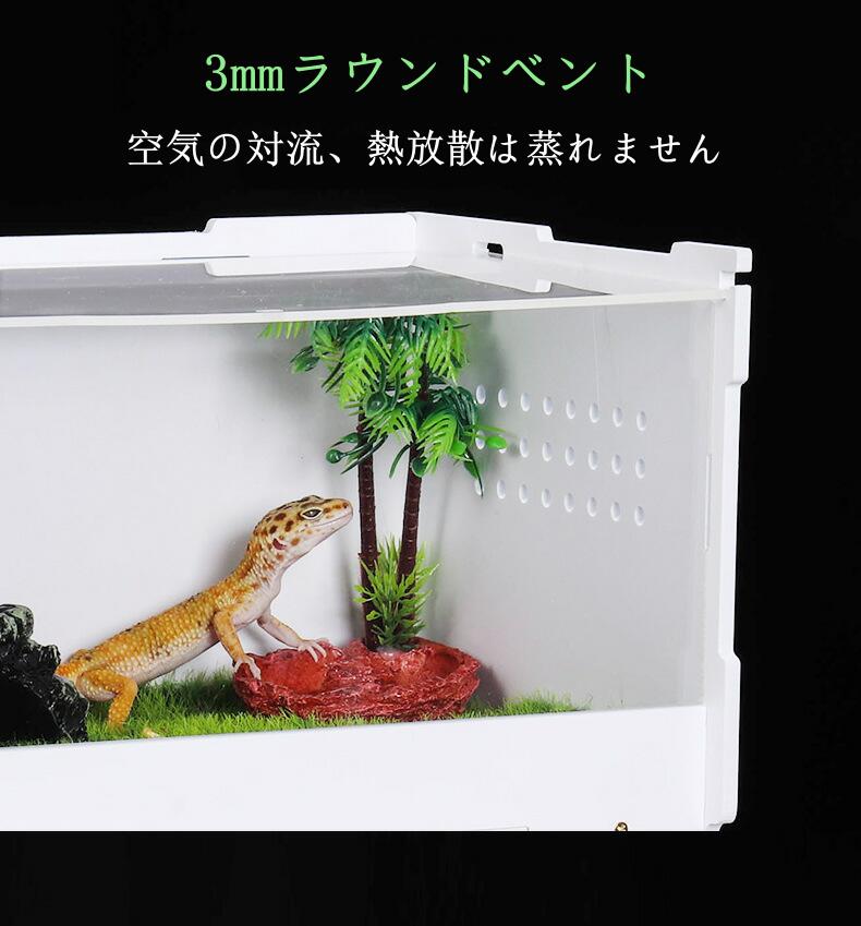 楽天市場】爬虫類飼育ケージ 亀トカゲヘビ飼育ボックス 裸の檻 爬虫類