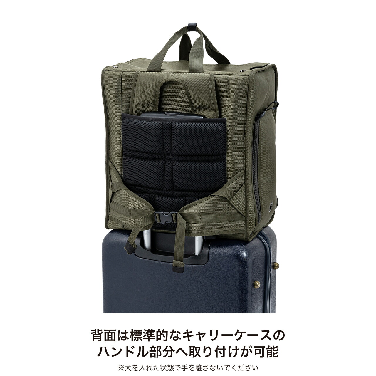 楽天市場】マンダリンブラザーズ キャリー 犬 キャリーバッグ