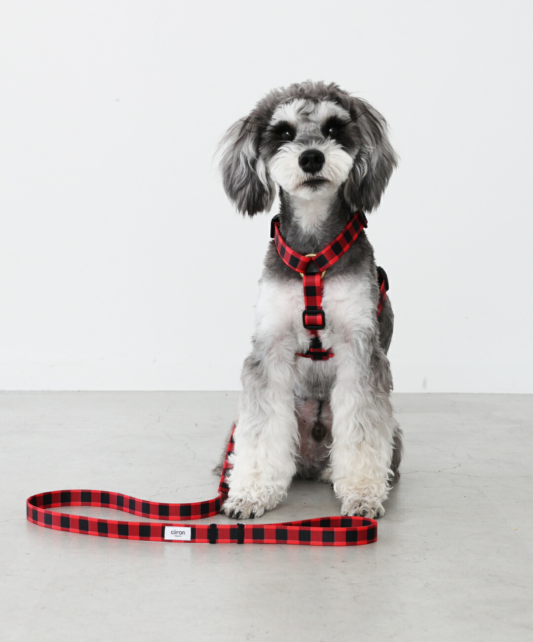 楽天市場】【 犬 ハーネス おしゃれ 抜けない 負担が少ない 小型犬