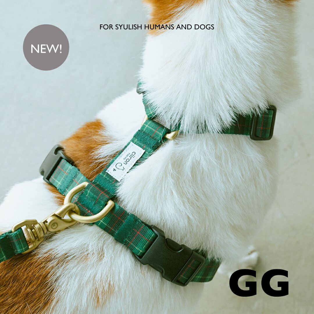 ciiron ハーネスとリードセット Michael ハーネス Michael 再入荷