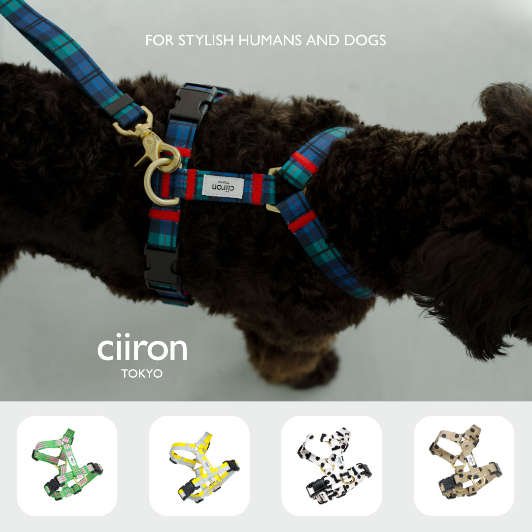 楽天市場】【 犬 ハーネス おしゃれ 抜けない 負担が少ない 小型犬