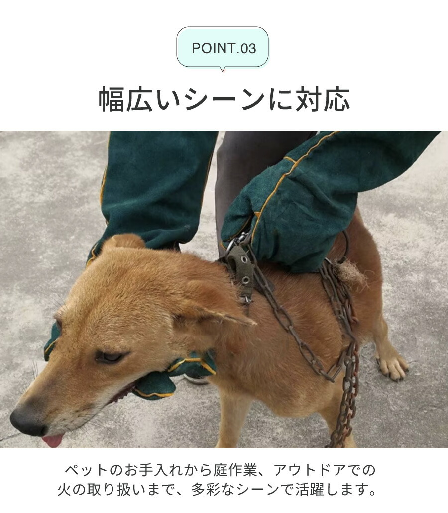 飼犬手噛 Dog biting can be cured with XX! Easy ways for anyone to stop