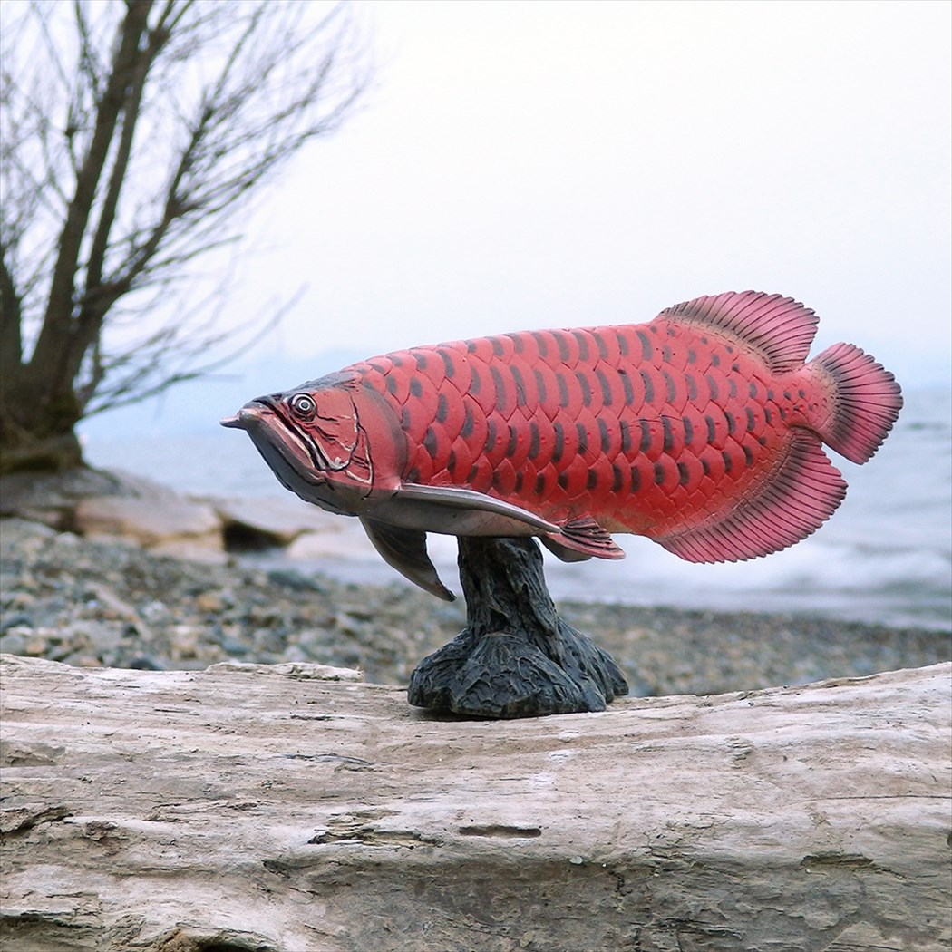 新作1 36cmアロワナ 魚模型 フィギュア レプリカ 魚オブジェ 金色