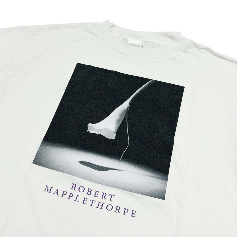 楽天市場】＼2025年12月度 月間優良ショップ 受賞／ 新品 セント