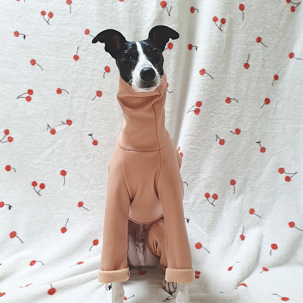 楽天市場】【doggystar ドッギースター】 ロンパース レザーミンク 犬