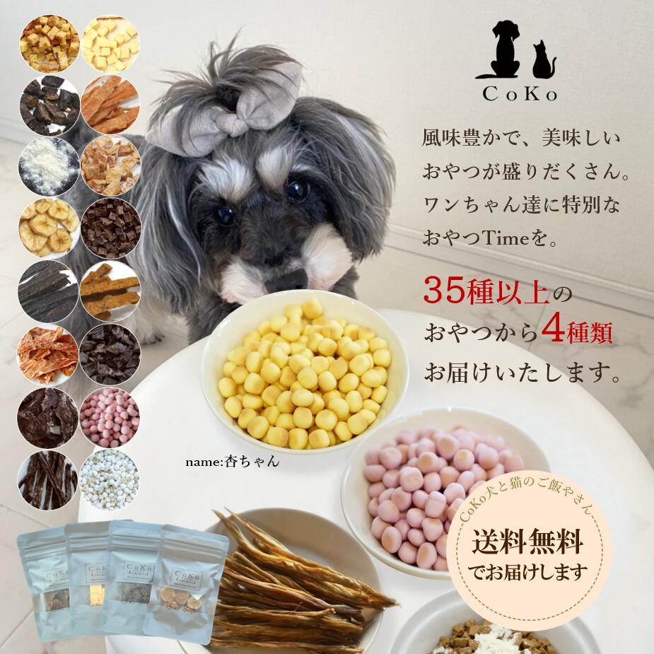 楽天市場】犬 おやつ 小分け 詰め合わせ ギフト おやつセット 4点 無