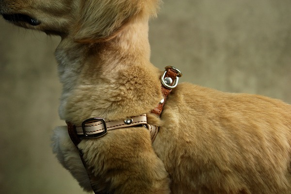 楽天市場】【ナチュラルリメイク ハーネス 】【全8色】 レッド ピンク